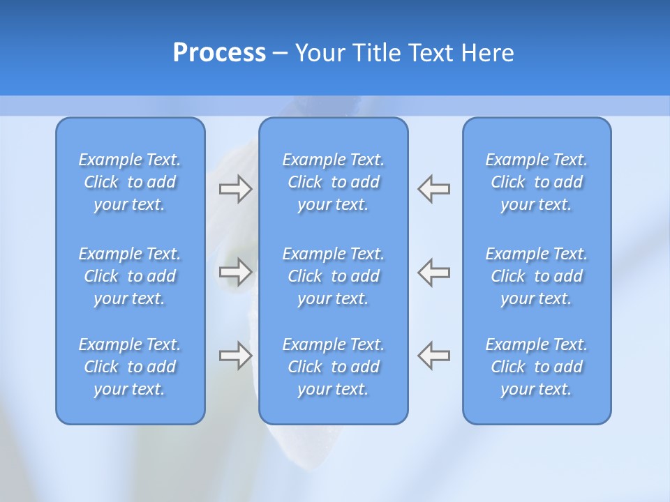 Day Park Blossom PowerPoint Template