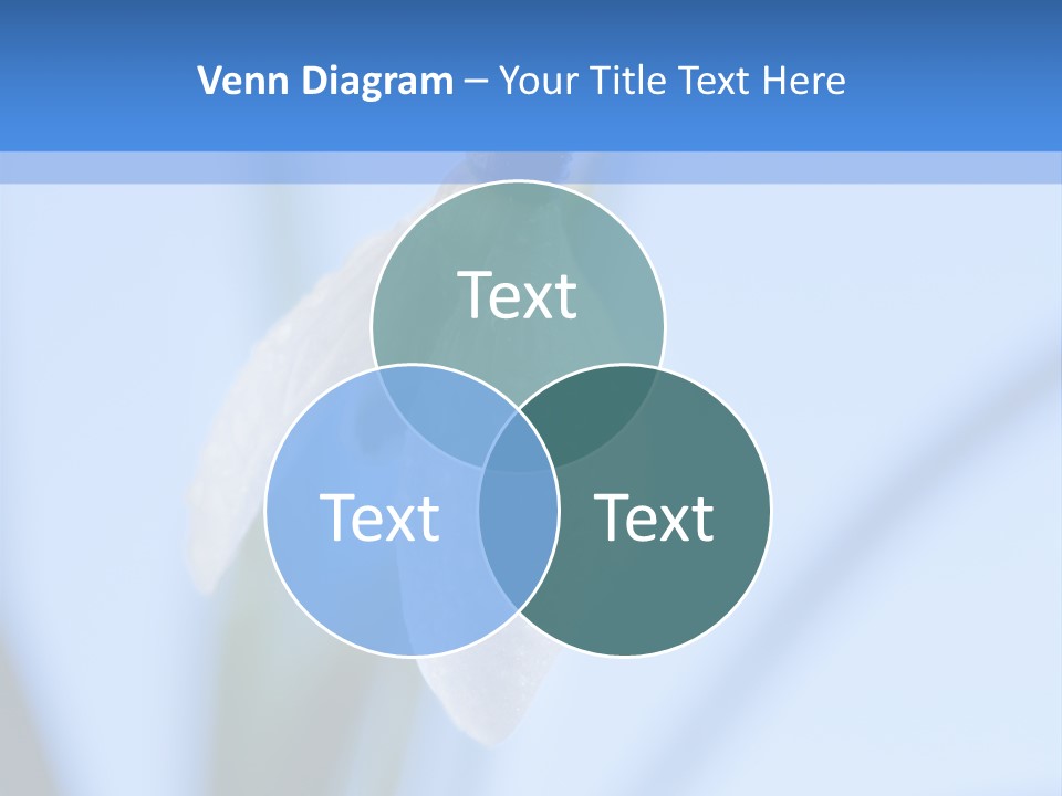 Day Park Blossom PowerPoint Template