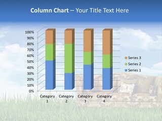 Eco Field Grow PowerPoint Template