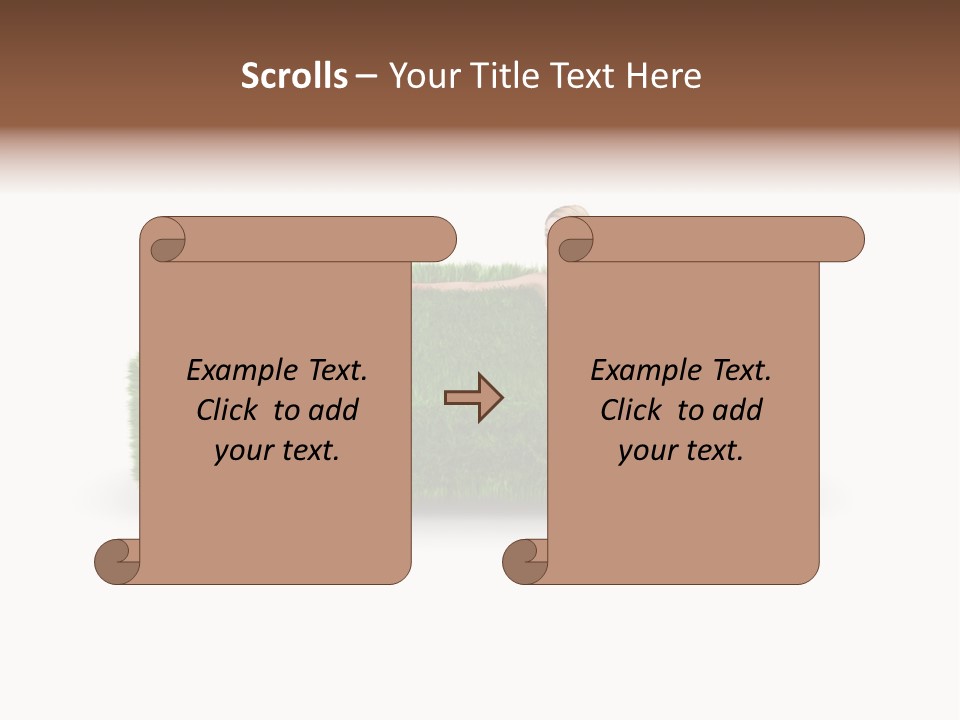 Beauty Pure White PowerPoint Template