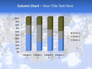 Clouds Shine Way PowerPoint Template