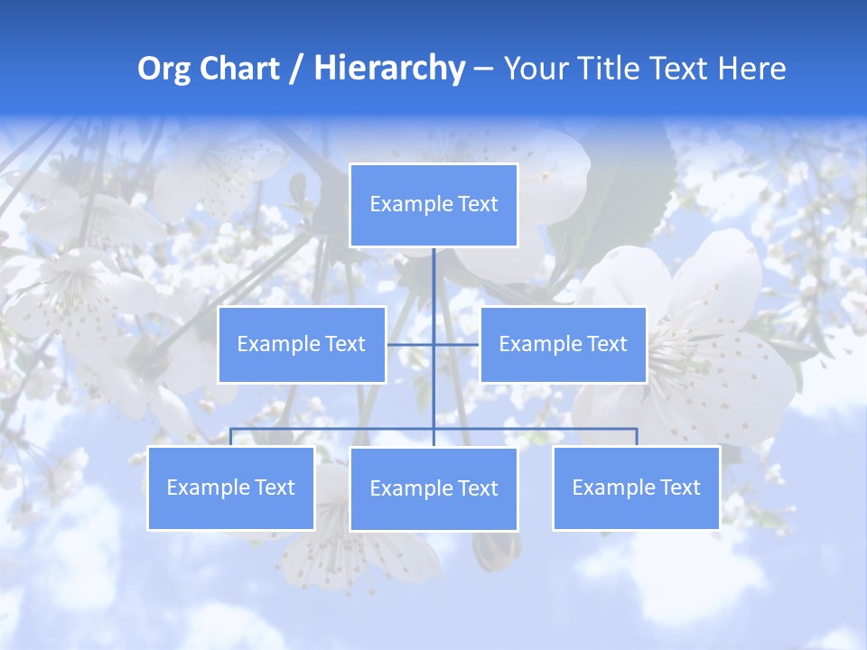 Clouds Shine Way PowerPoint Template