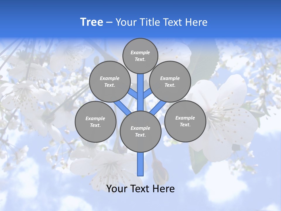 Clouds Shine Way PowerPoint Template