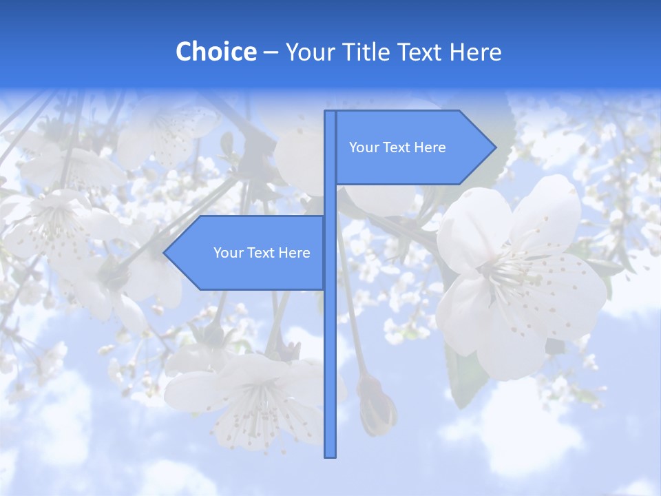 Clouds Shine Way PowerPoint Template