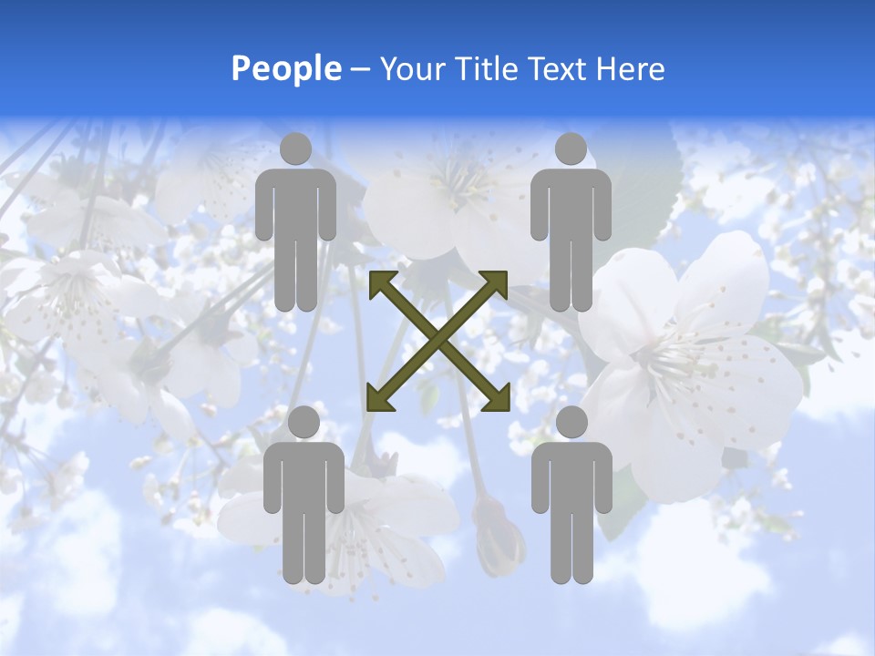 Clouds Shine Way PowerPoint Template