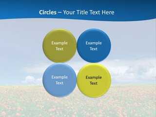 Imagination Landscape Way PowerPoint Template