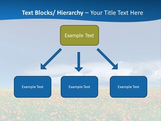 Imagination Landscape Way PowerPoint Template