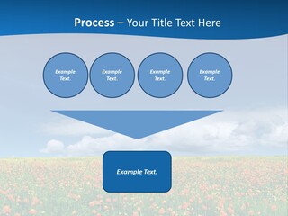 Imagination Landscape Way PowerPoint Template