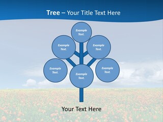 Imagination Landscape Way PowerPoint Template