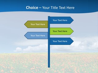 Imagination Landscape Way PowerPoint Template
