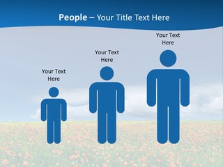 Imagination Landscape Way PowerPoint Template