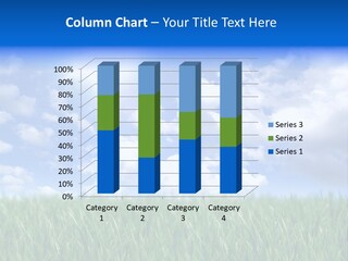 Entrance Rise Beauty PowerPoint Template