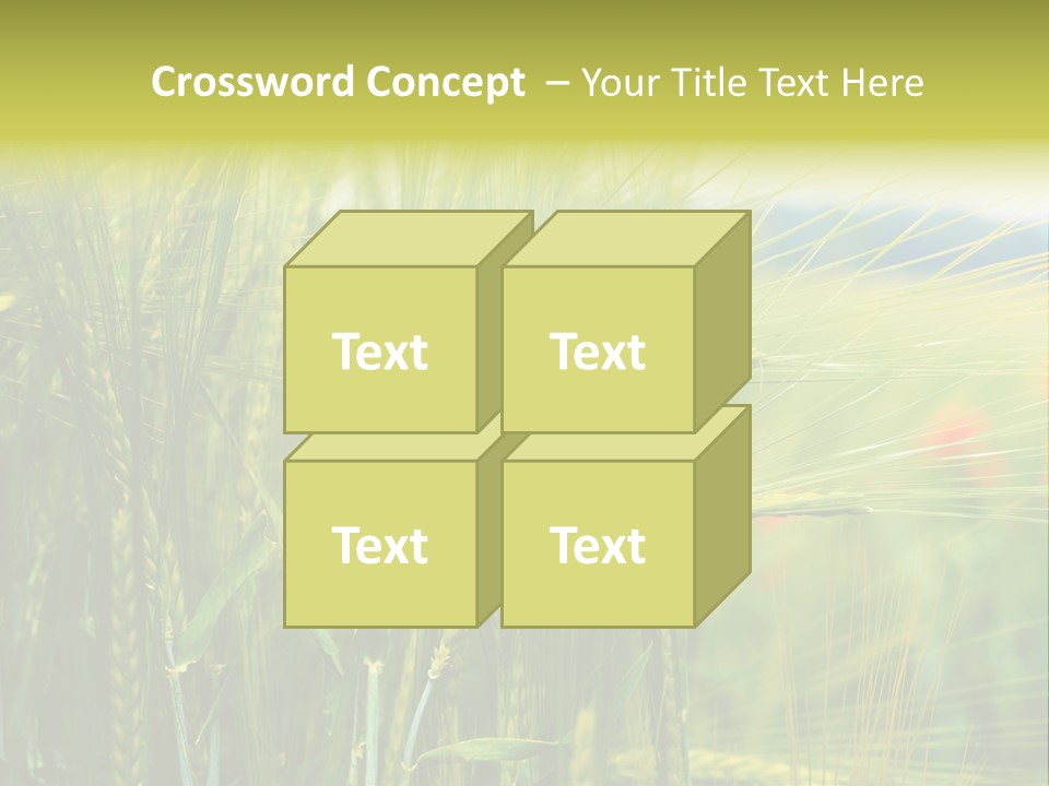 Gras Mohnblume Klatschmohn PowerPoint Template