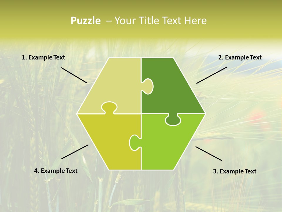 Gras Mohnblume Klatschmohn PowerPoint Template