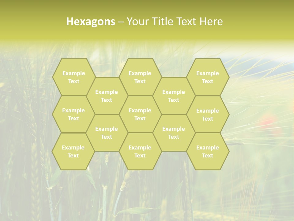 Gras Mohnblume Klatschmohn PowerPoint Template