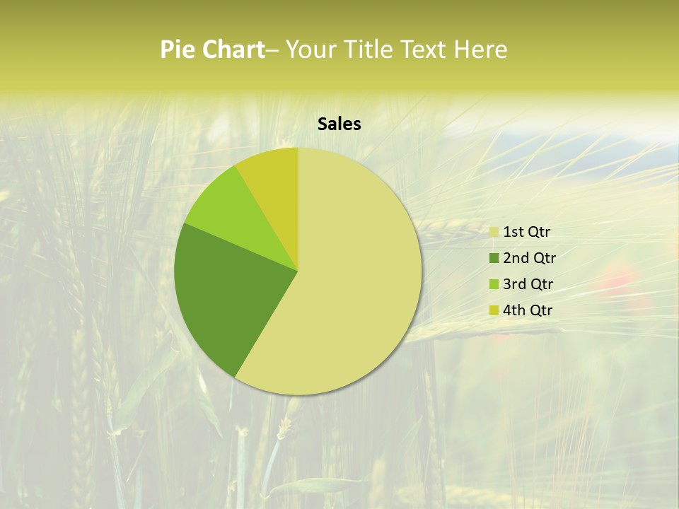 Gras Mohnblume Klatschmohn PowerPoint Template