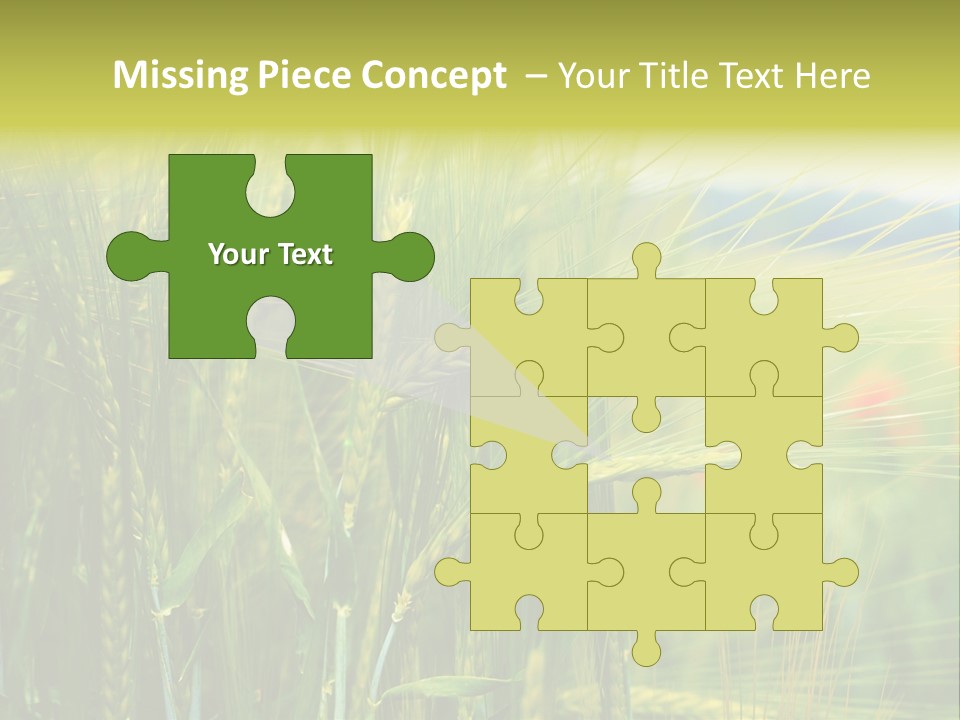 Gras Mohnblume Klatschmohn PowerPoint Template