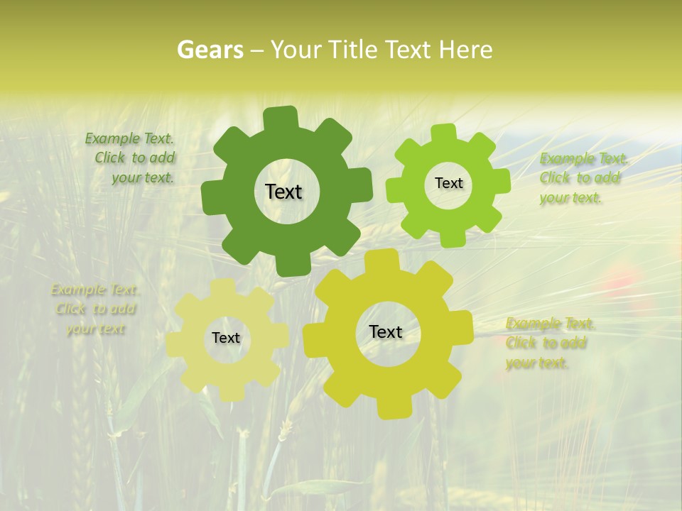 Gras Mohnblume Klatschmohn PowerPoint Template