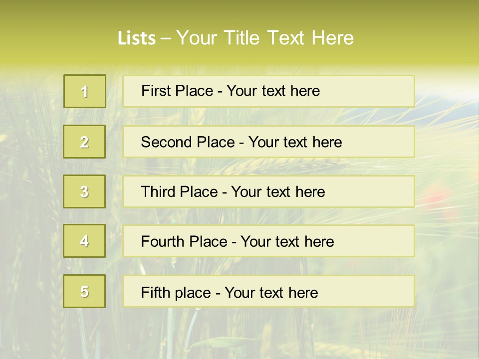 Gras Mohnblume Klatschmohn PowerPoint Template