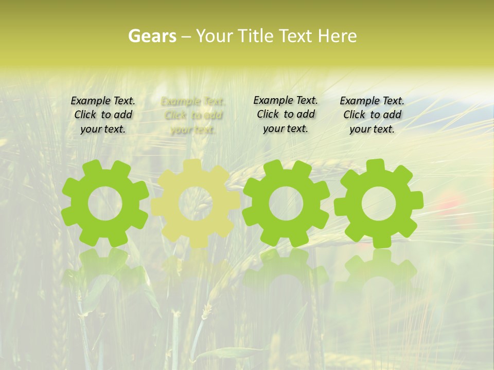 Gras Mohnblume Klatschmohn PowerPoint Template