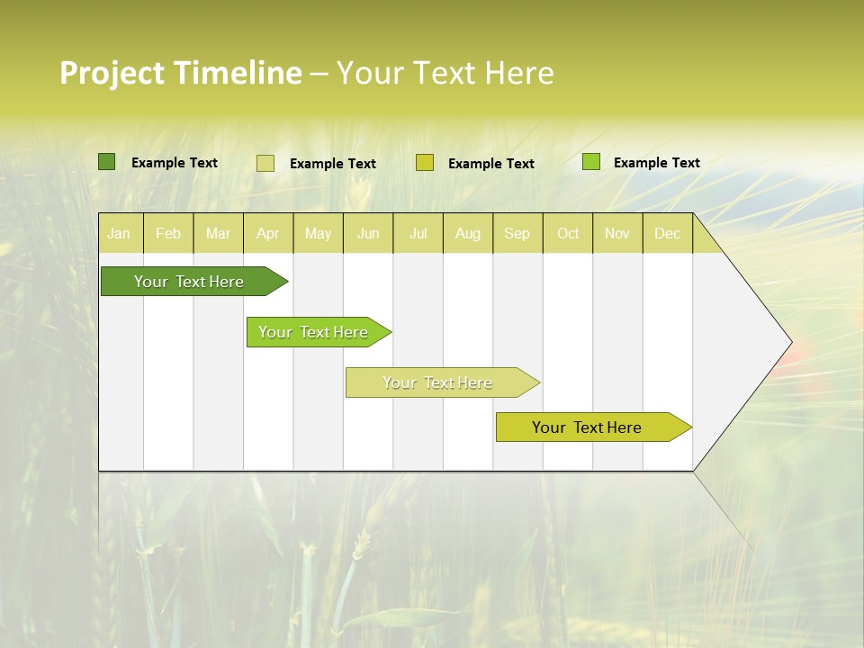 Gras Mohnblume Klatschmohn PowerPoint Template