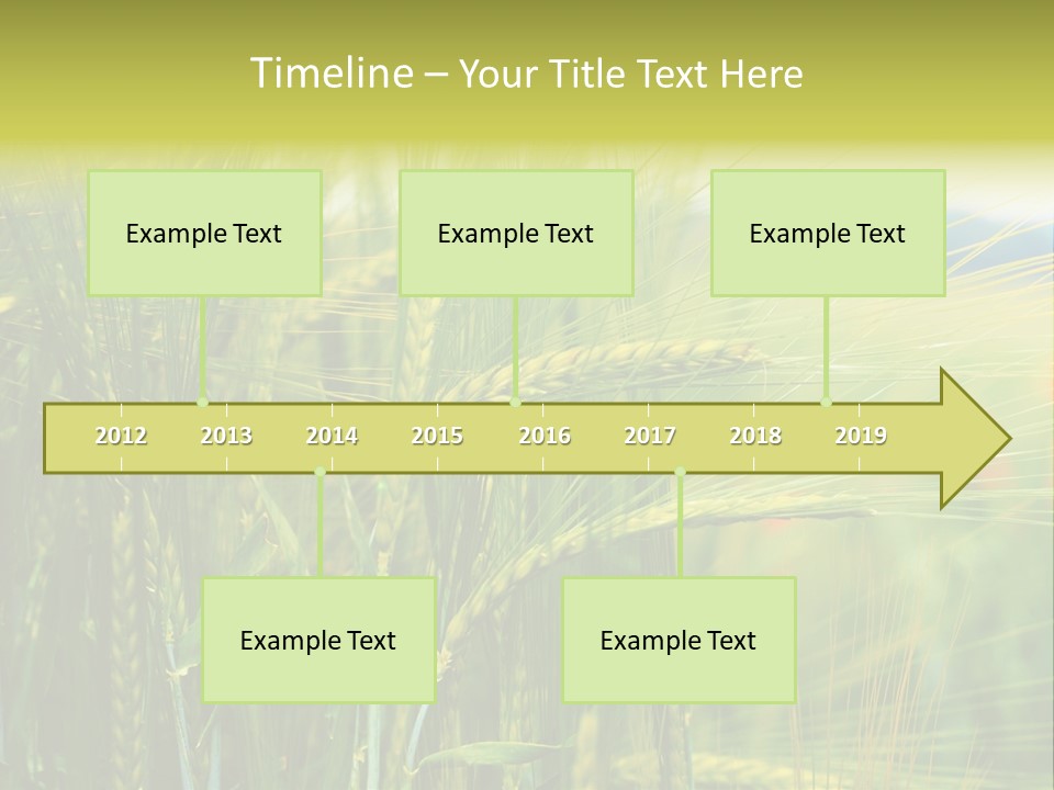 Gras Mohnblume Klatschmohn PowerPoint Template