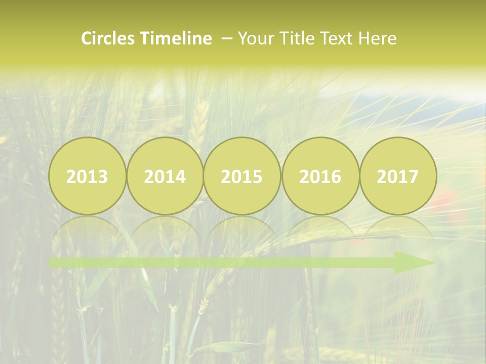 Gras Mohnblume Klatschmohn PowerPoint Template