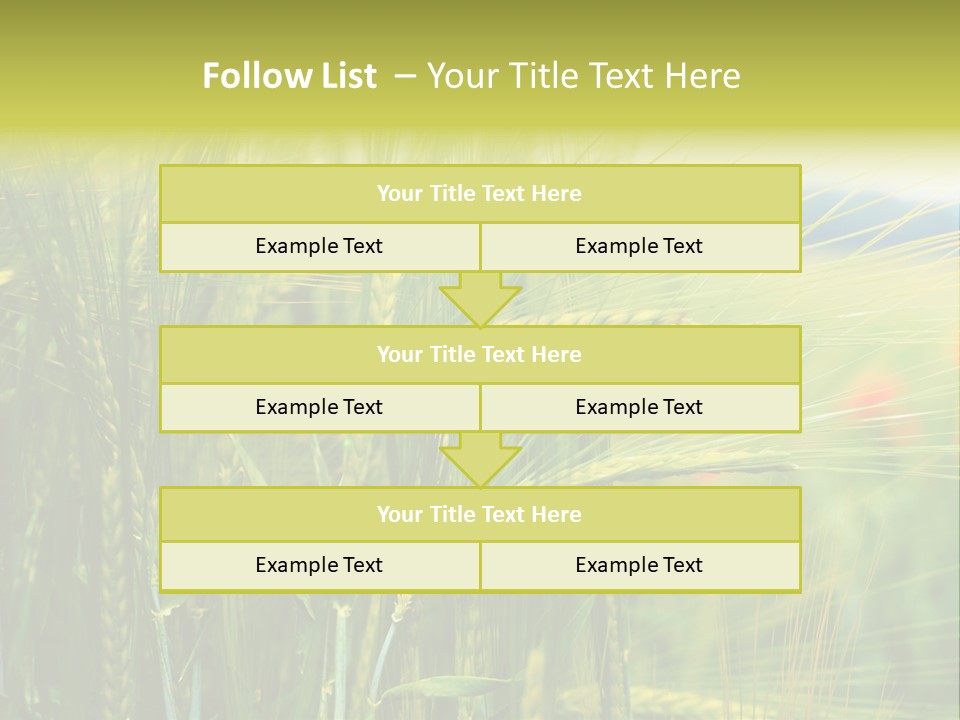 Gras Mohnblume Klatschmohn PowerPoint Template