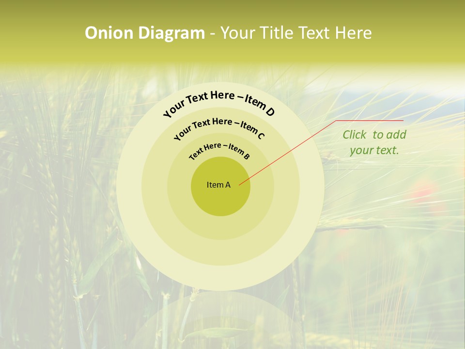 Gras Mohnblume Klatschmohn PowerPoint Template