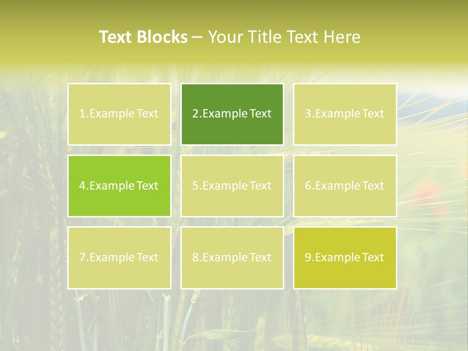 Gras Mohnblume Klatschmohn PowerPoint Template