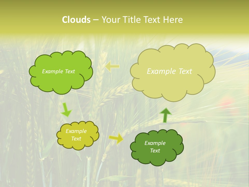 Gras Mohnblume Klatschmohn PowerPoint Template