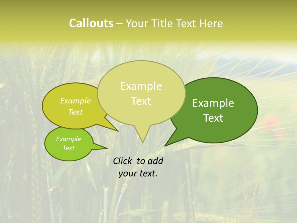 Gras Mohnblume Klatschmohn PowerPoint Template