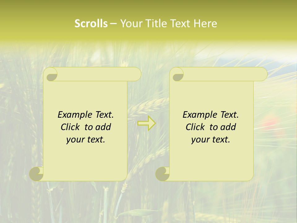 Gras Mohnblume Klatschmohn PowerPoint Template