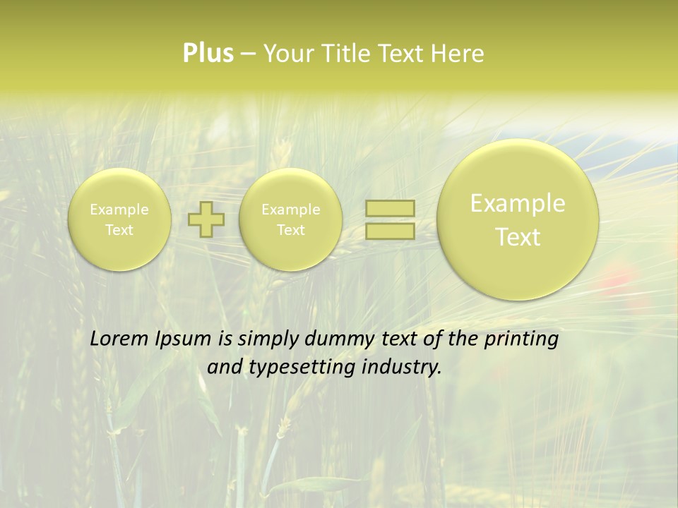 Gras Mohnblume Klatschmohn PowerPoint Template
