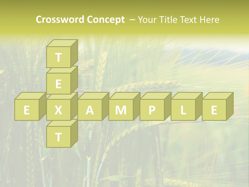 Gras Mohnblume Klatschmohn PowerPoint Template