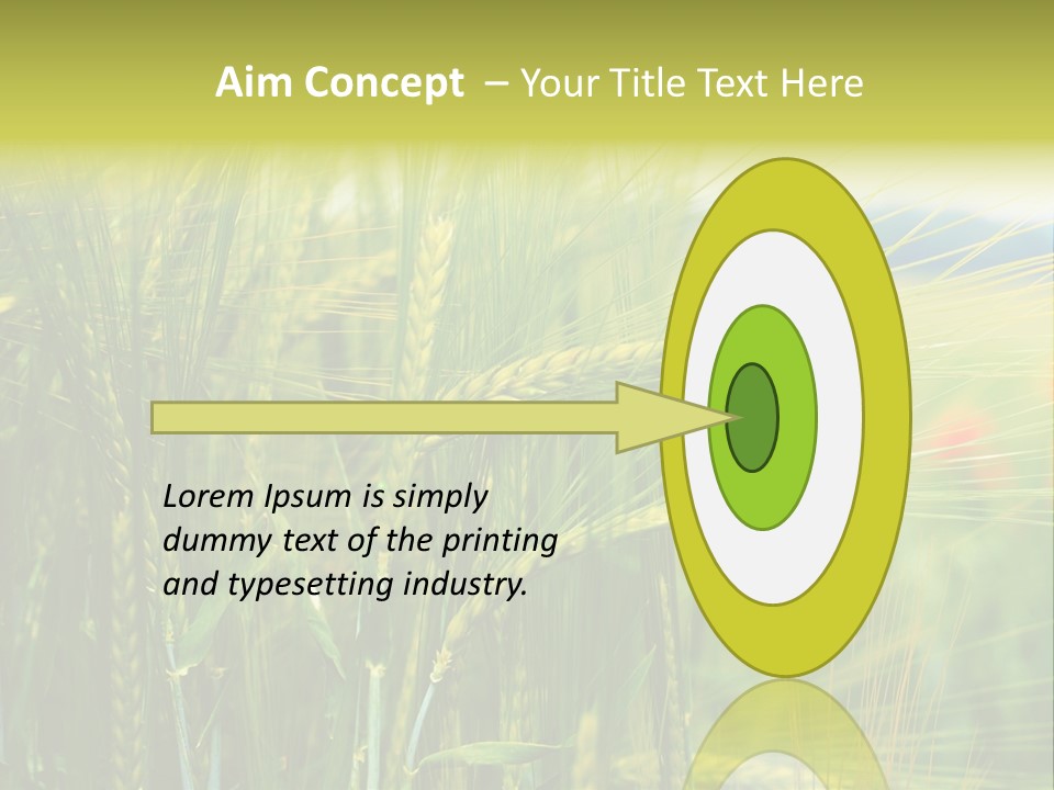 Gras Mohnblume Klatschmohn PowerPoint Template