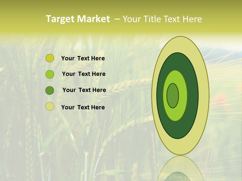 Gras Mohnblume Klatschmohn PowerPoint Template