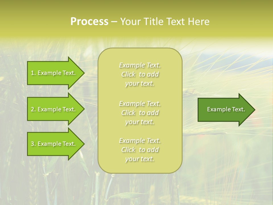 Gras Mohnblume Klatschmohn PowerPoint Template