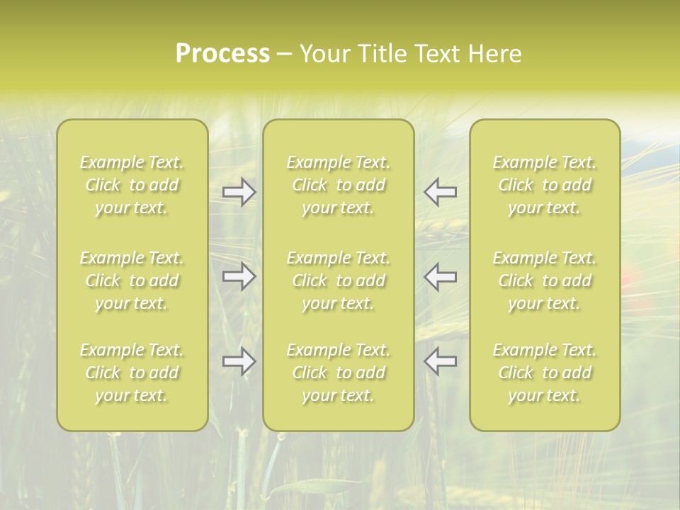 Gras Mohnblume Klatschmohn PowerPoint Template