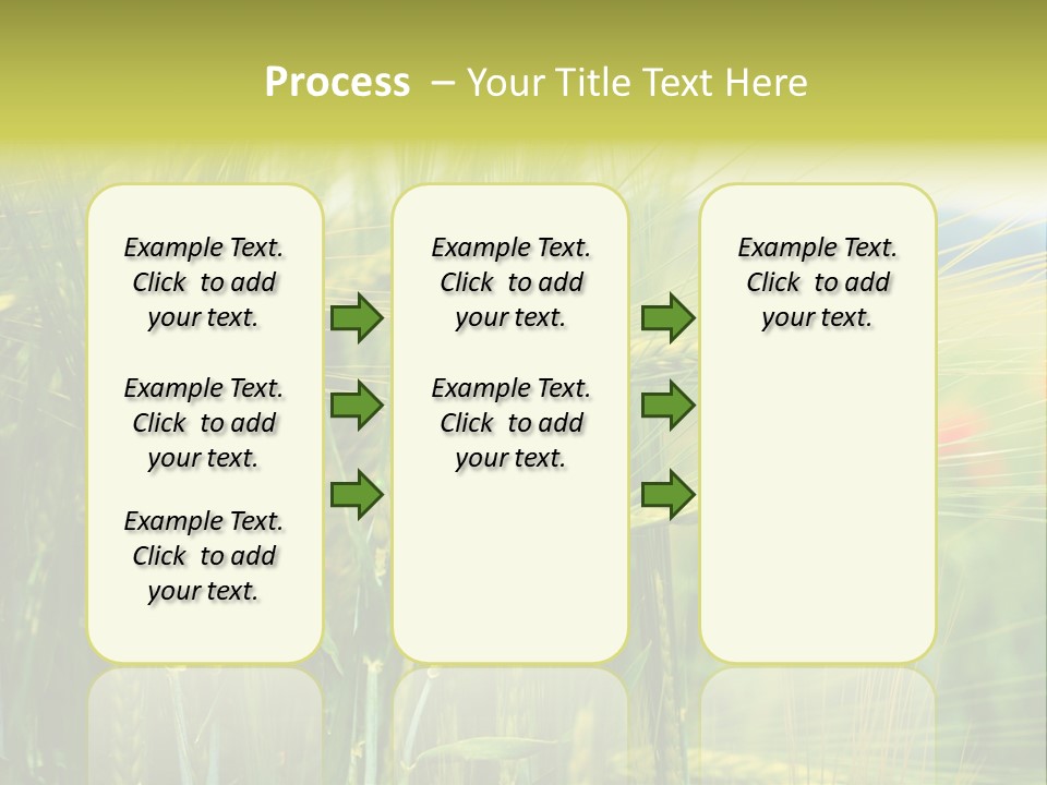 Gras Mohnblume Klatschmohn PowerPoint Template