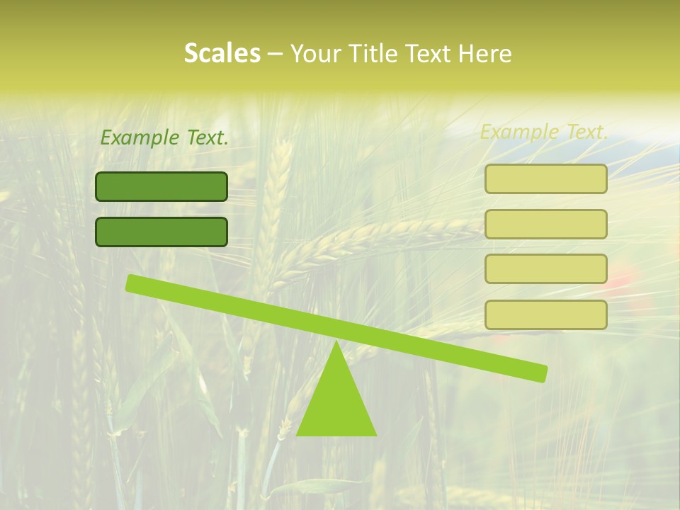 Gras Mohnblume Klatschmohn PowerPoint Template