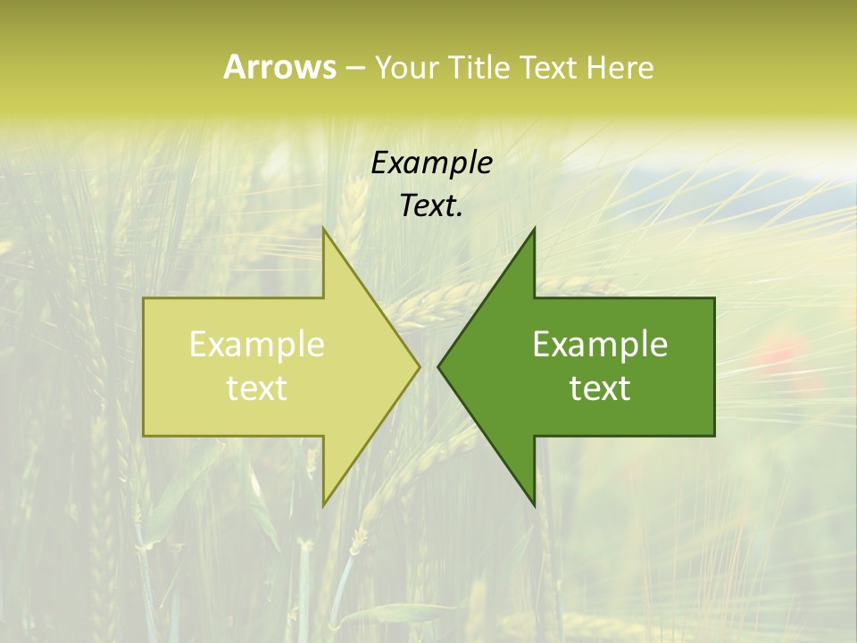 Gras Mohnblume Klatschmohn PowerPoint Template