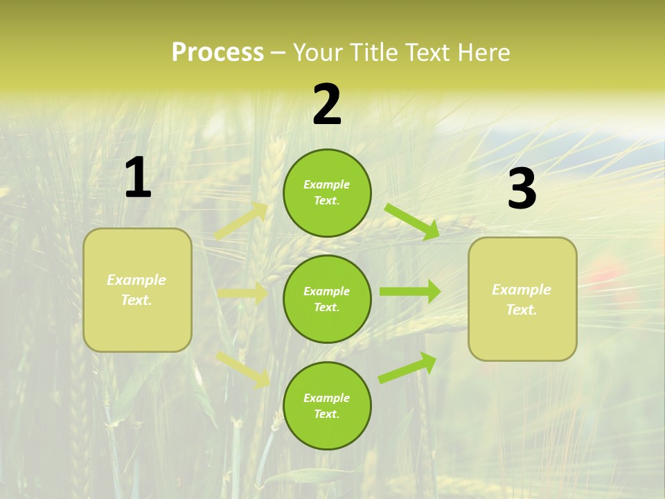Gras Mohnblume Klatschmohn PowerPoint Template