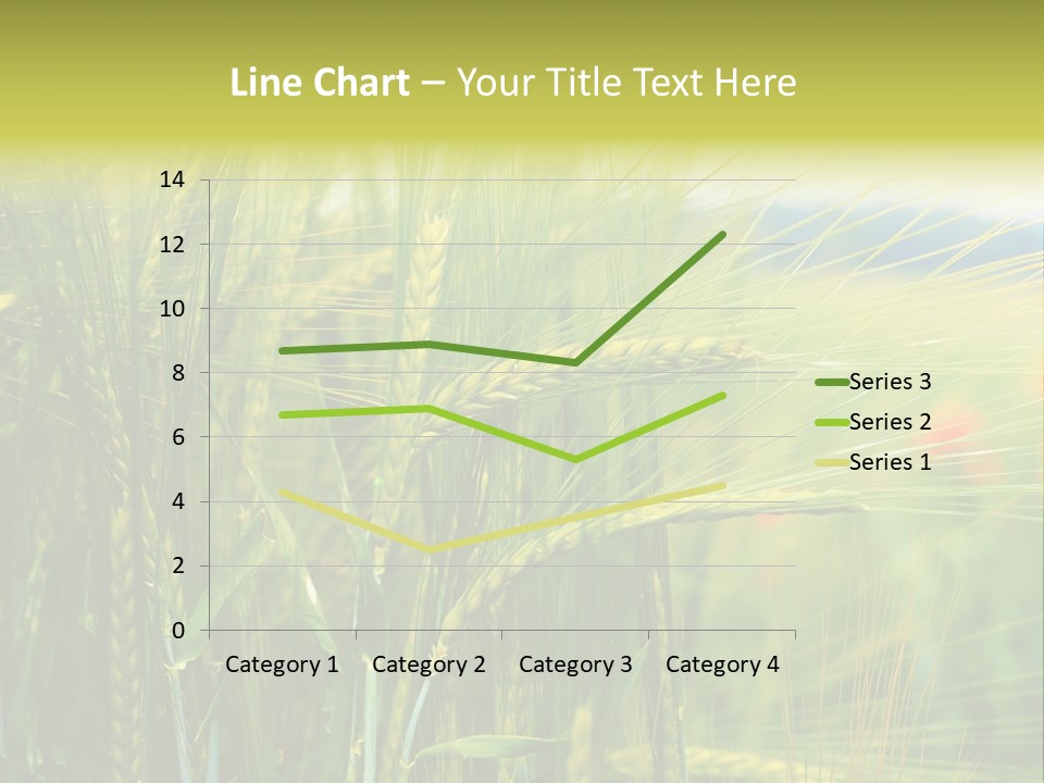Gras Mohnblume Klatschmohn PowerPoint Template