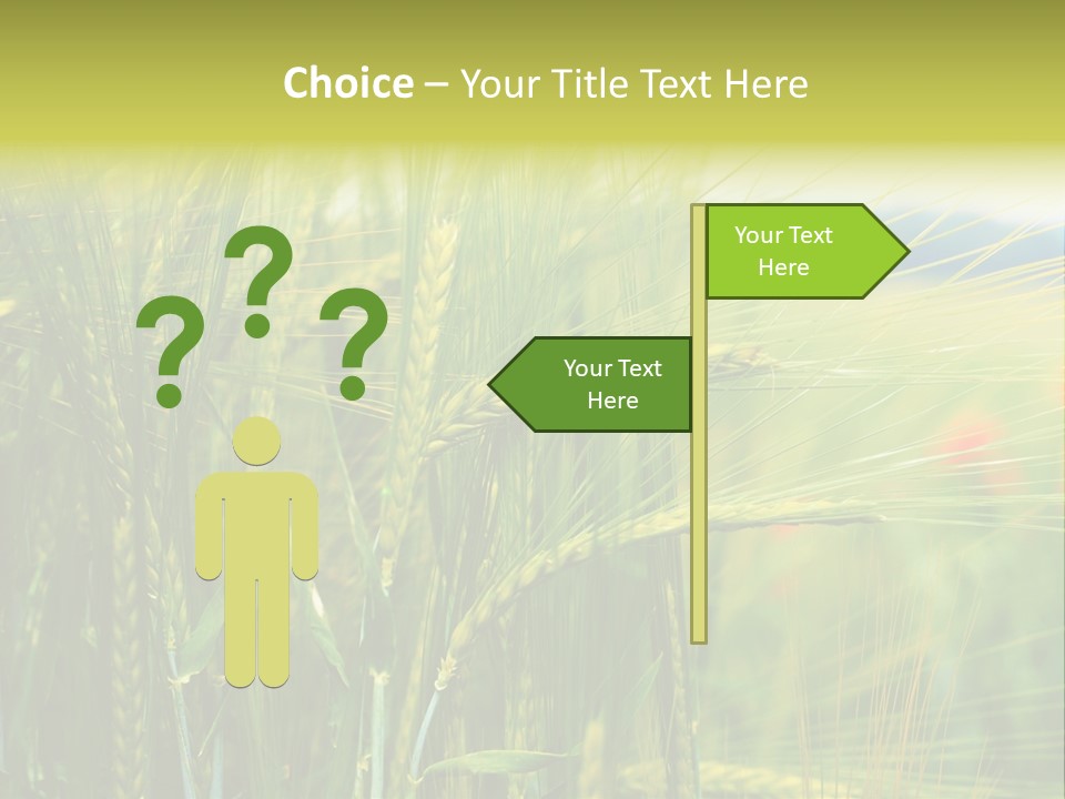 Gras Mohnblume Klatschmohn PowerPoint Template