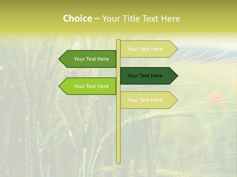 Gras Mohnblume Klatschmohn PowerPoint Template