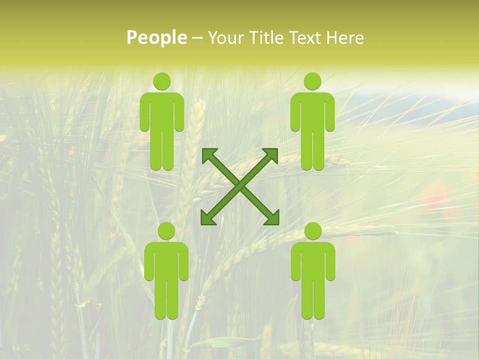 Gras Mohnblume Klatschmohn PowerPoint Template