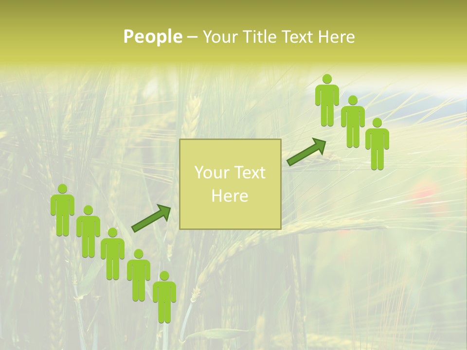 Gras Mohnblume Klatschmohn PowerPoint Template