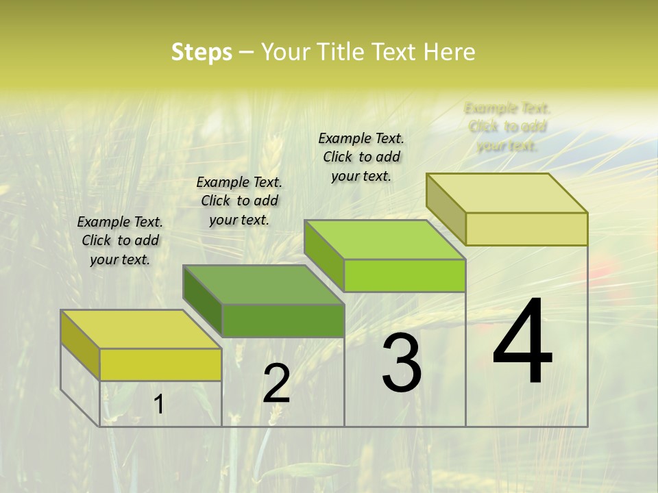 Gras Mohnblume Klatschmohn PowerPoint Template
