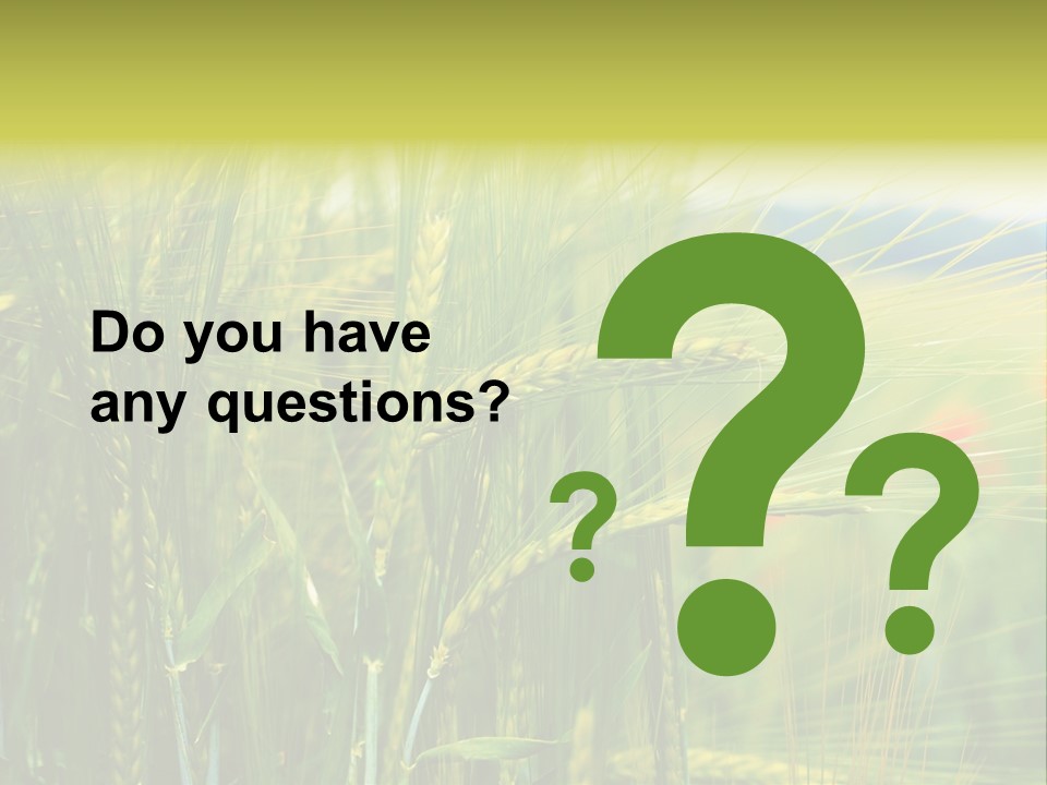 Gras Mohnblume Klatschmohn PowerPoint Template